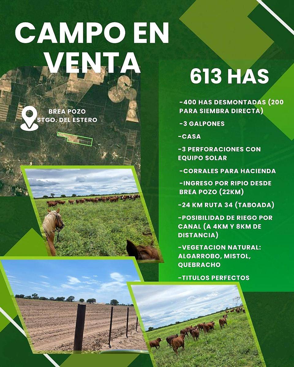 Brea Pozo, 613 Has Mixto