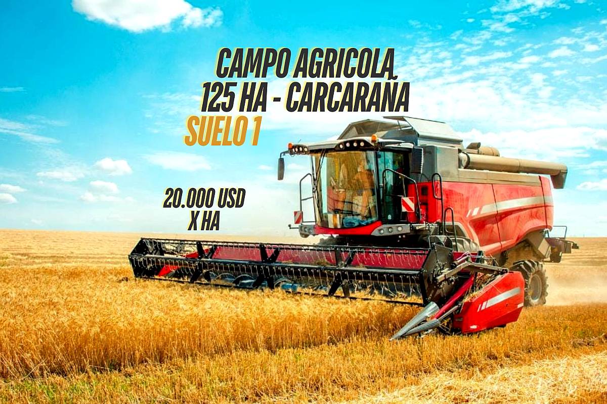 Campo Agricola en Venta de 125 Ha en Carcarañá