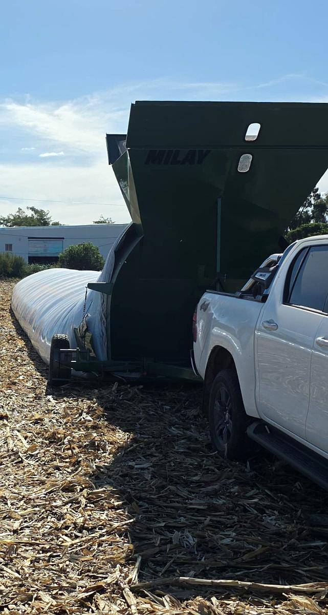 Embolsado de Granos Secos