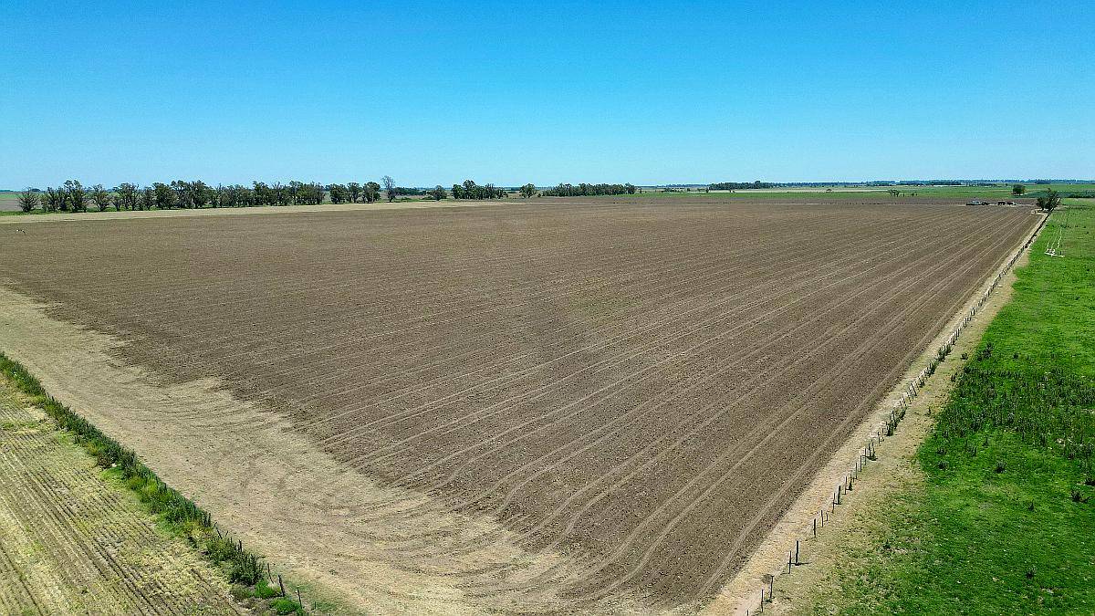 250 Ha Huinca Renanco