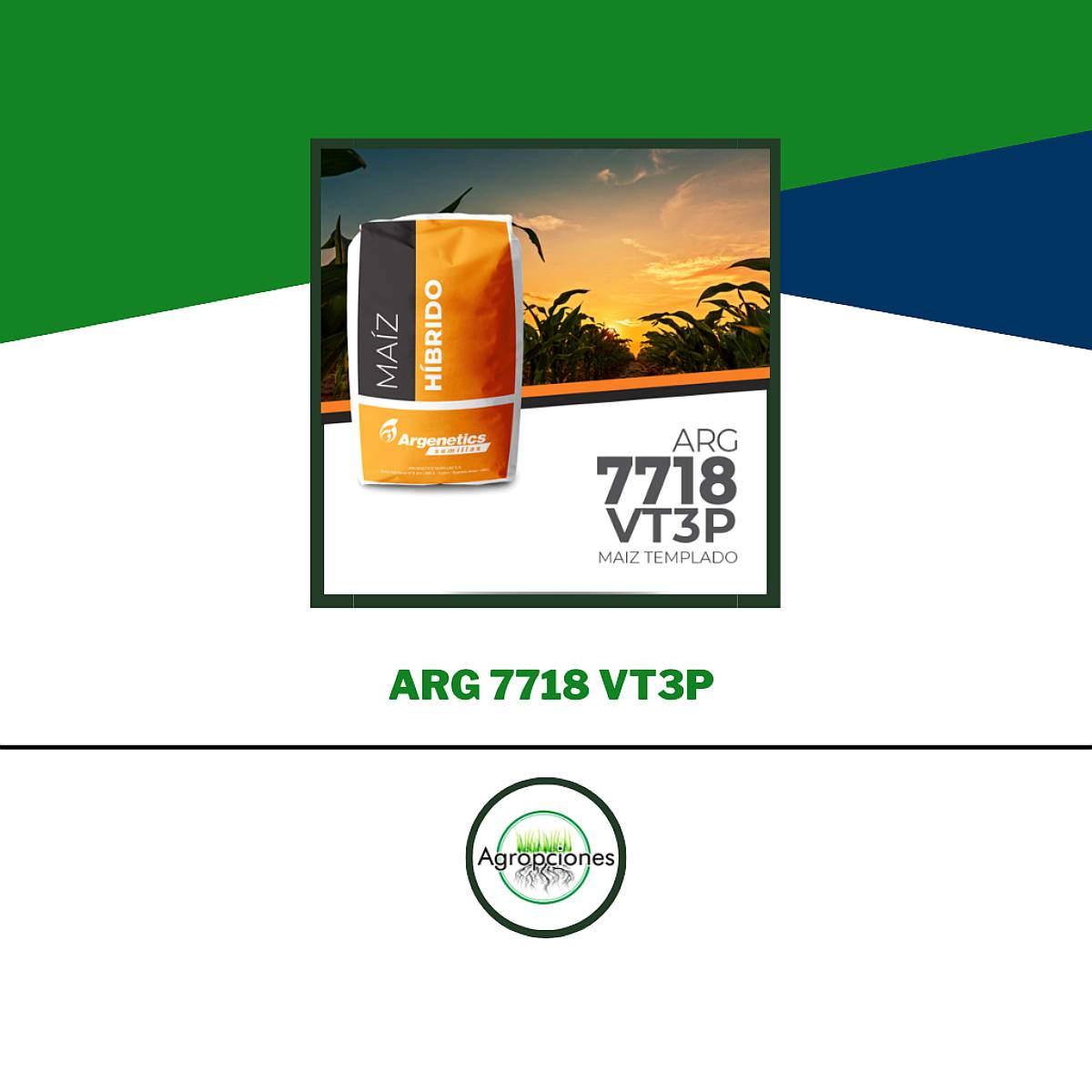Semilla de Maiz ARG 7718 Vt3p - Argenetics