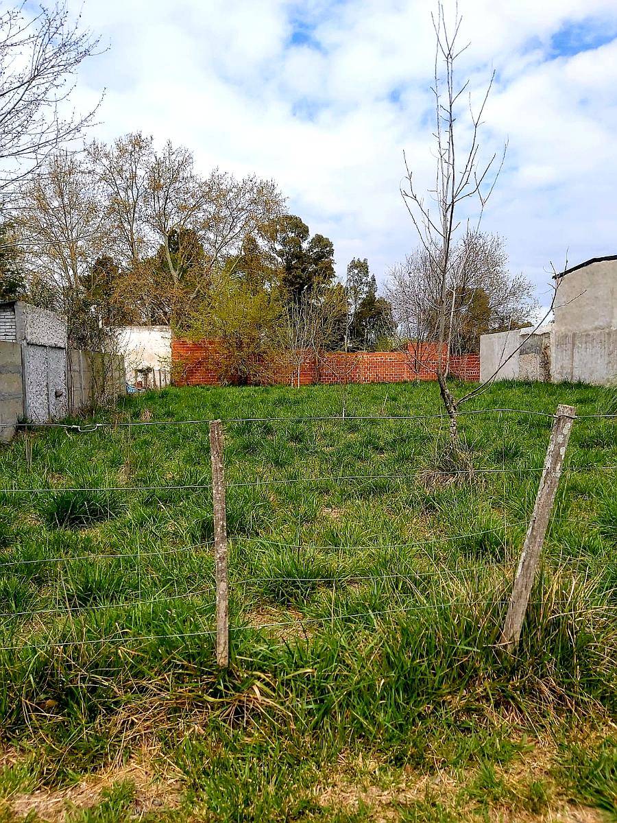 Oportunidad Real 💥 Vendo Lote en los Mirlos 420 – 🌳monte