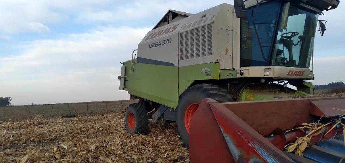 Claas Mega 370, Plat 30p