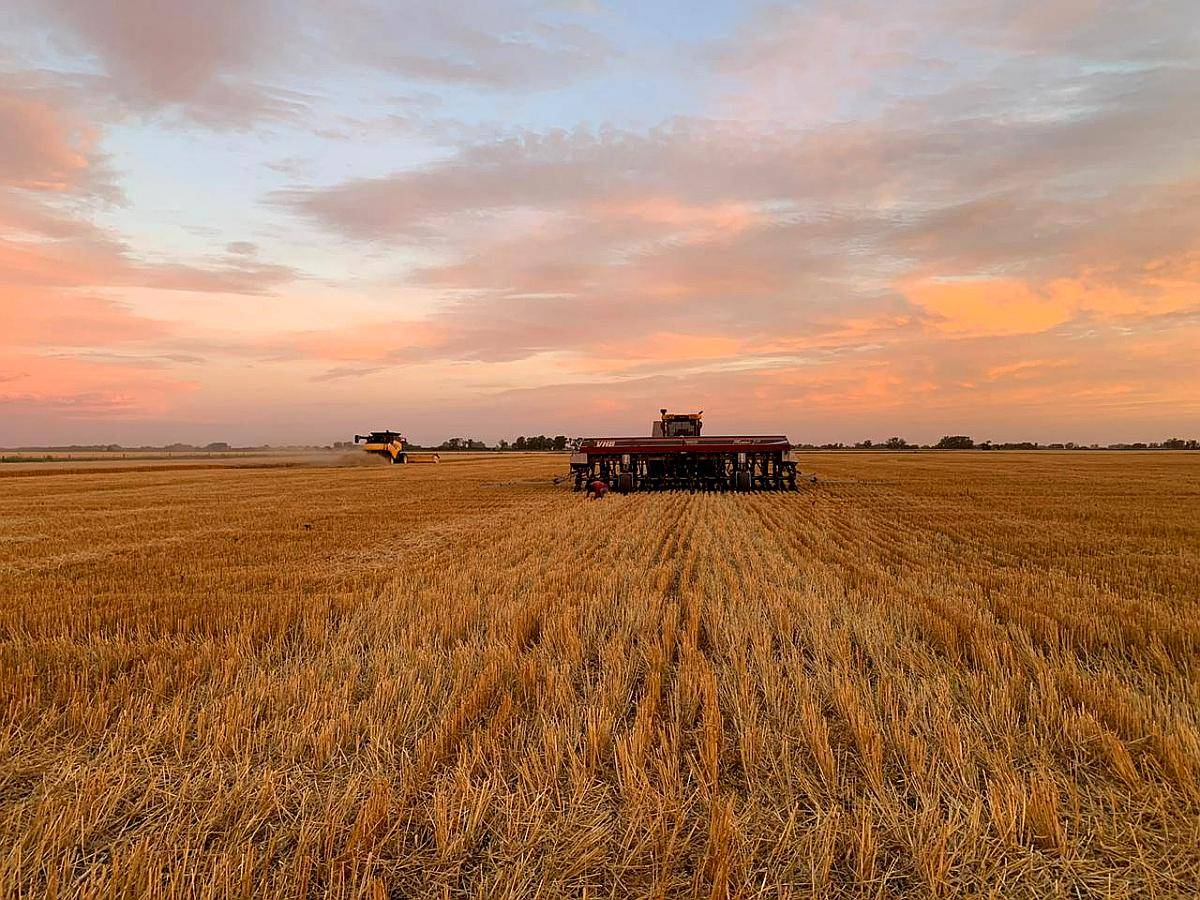 Siembras Asociadas Prov de BS AS