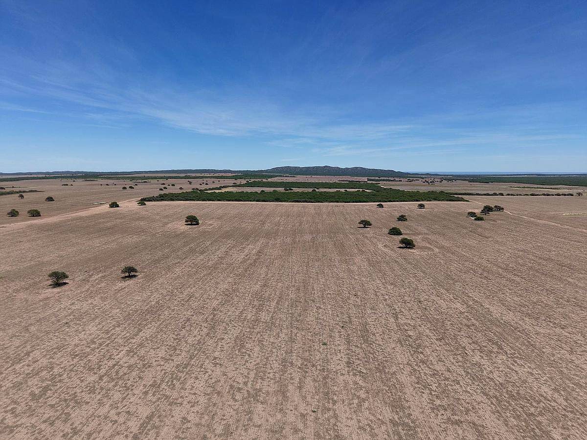 Juan Martin de Pueyrredón, San Luis - 2.350 Ha