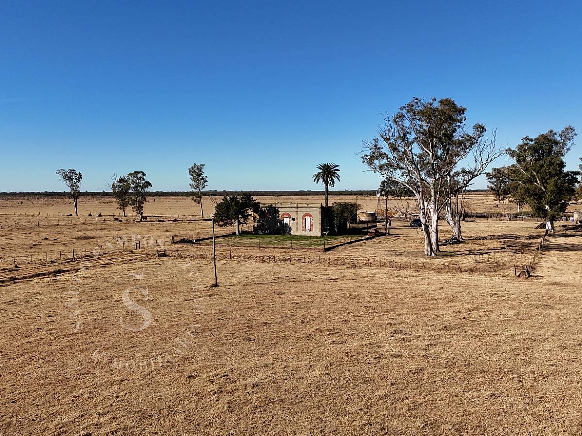 Venta Campo Ganadero. Pilar, Santa FE. 130 HA.