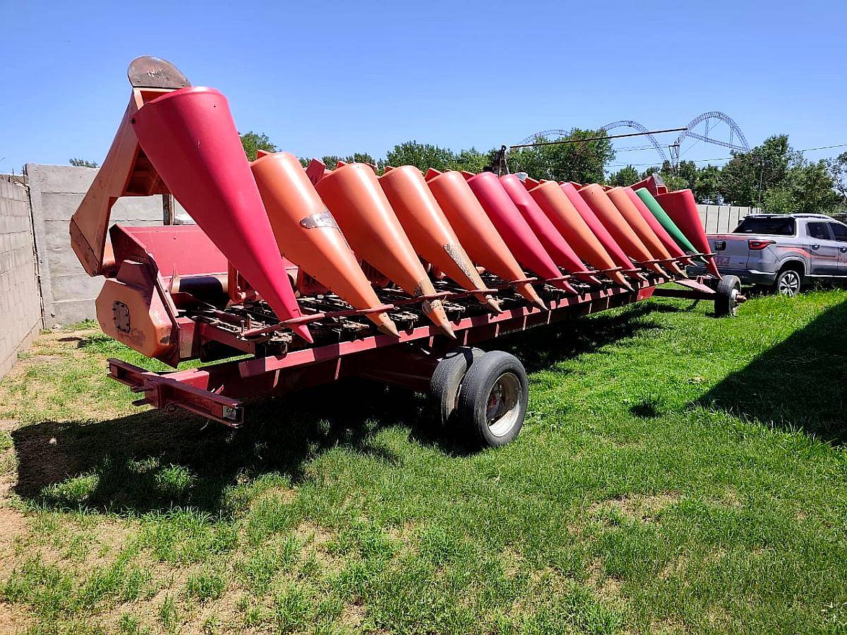 Maicero de Grande de 13 S. año 2003.