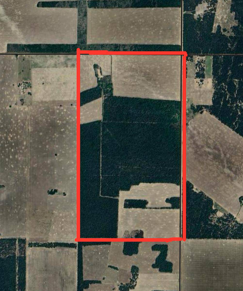 Se Vende Campo en Gancedo Chaco