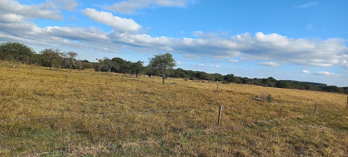 Campo Mixto 42 Hectareas Entre Rios