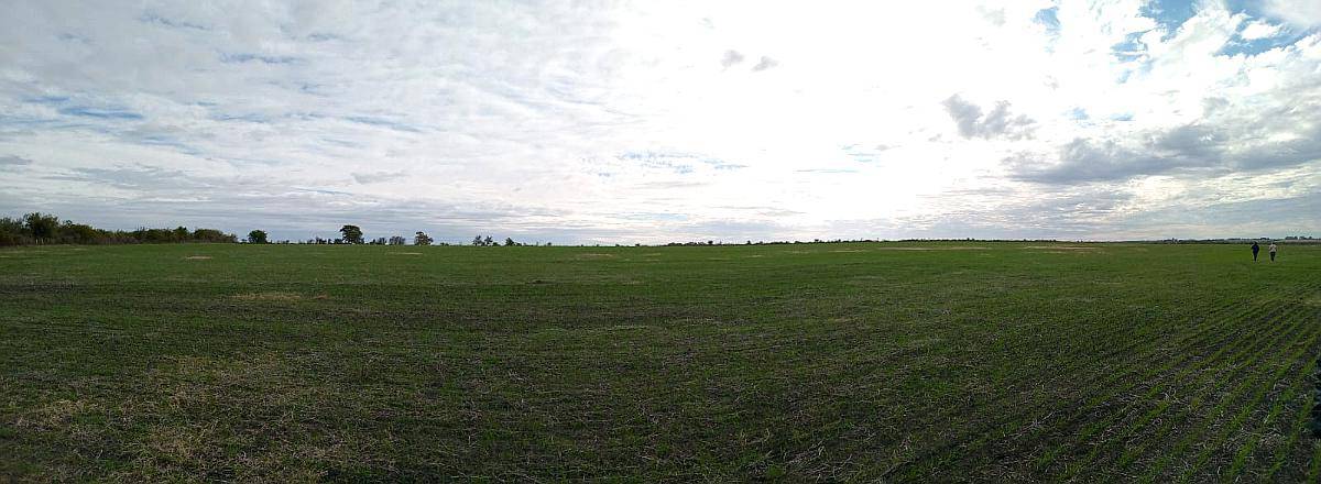 220 Ha en Lucas Gonzalez. Mixto. Buena Parte Agrícola