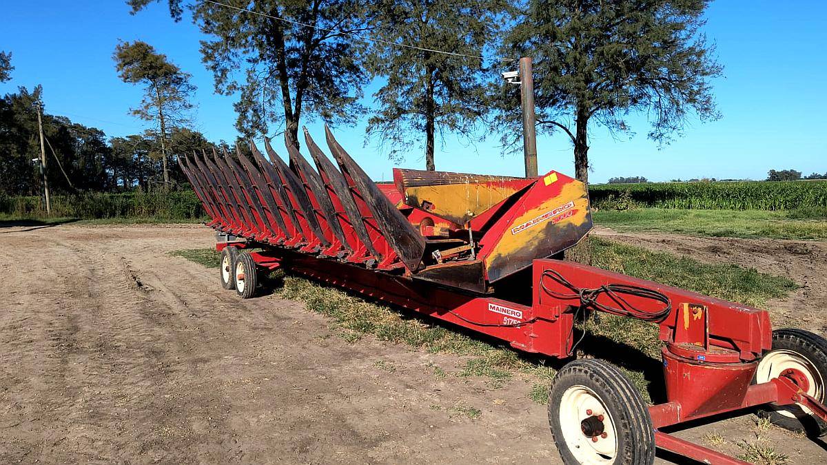 Maicero Mainero 2000 11 a 52 cm