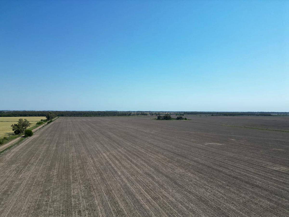 1000 Hectáreas Mixtas. Sobre Ruta.