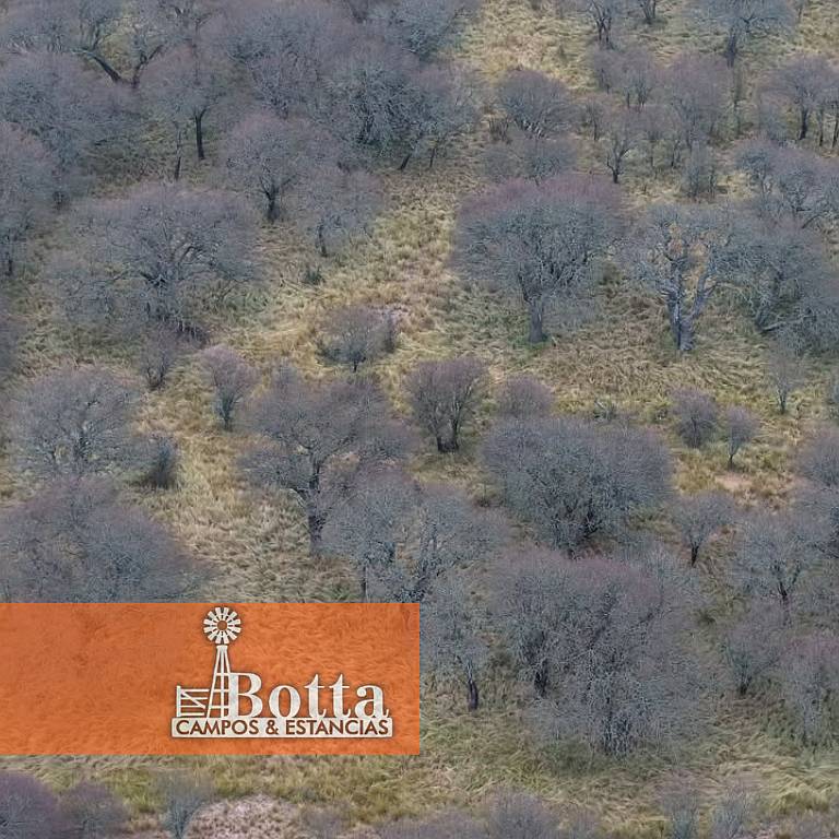 Campo Ganadero en Venta — 3.200 Has Rancul, la Pampa