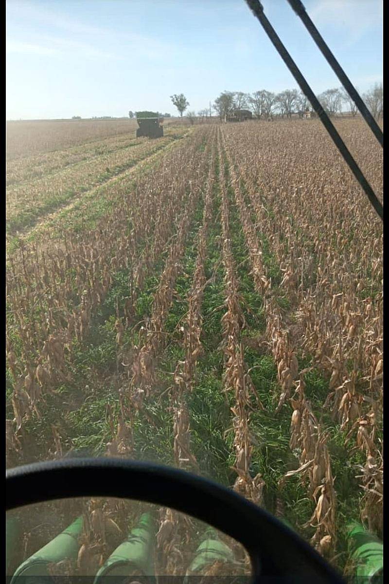 193 Hectáreas Agrícolas Sobre Ruta