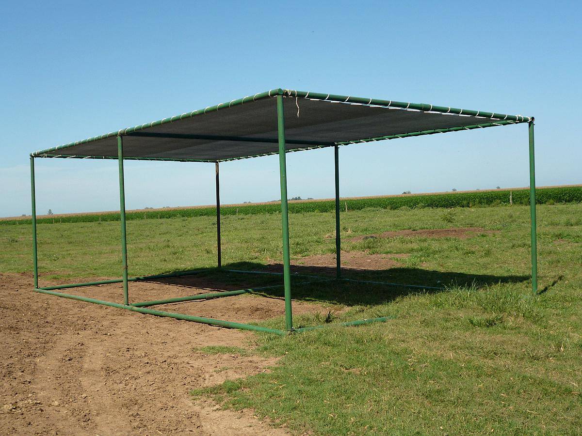 Sombras Móviles con Caños Petroleros