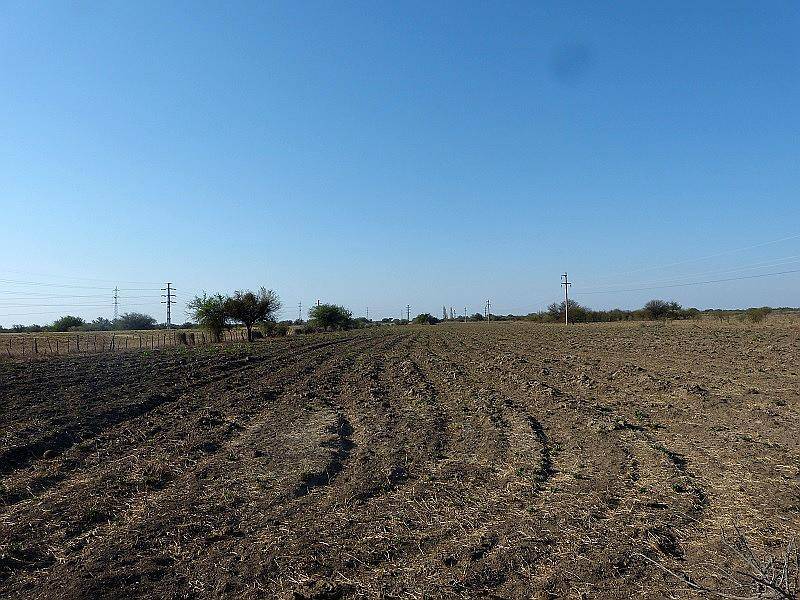 Vendo Parcelas de 4 Has. Cerca de San Fco. del Monte de ORO