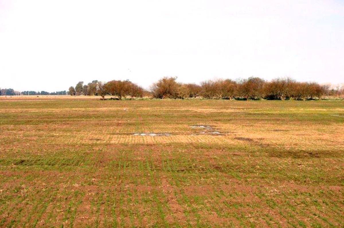 Ba3064 Venta Mixto 550 Has Chascomus Buenos Aires