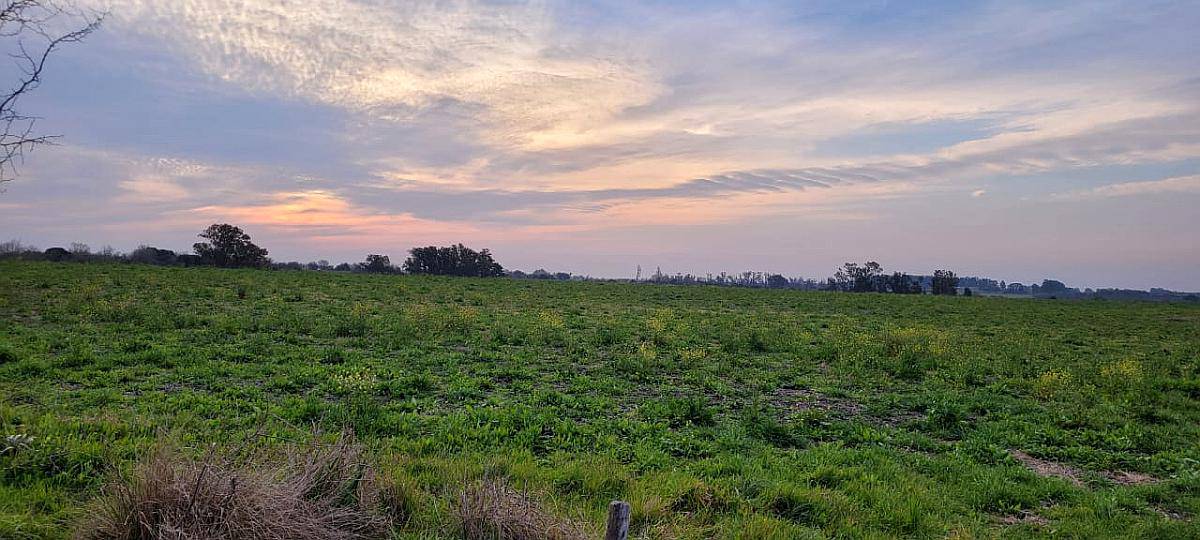 5 Mil M2 en Colón. Entre Ríos