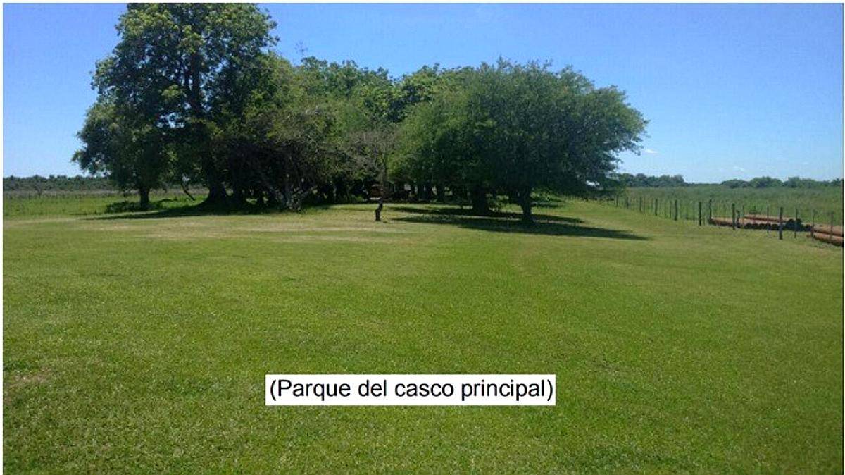 Campo 4168ha Mixto - San Luis del Palmar Corrientes