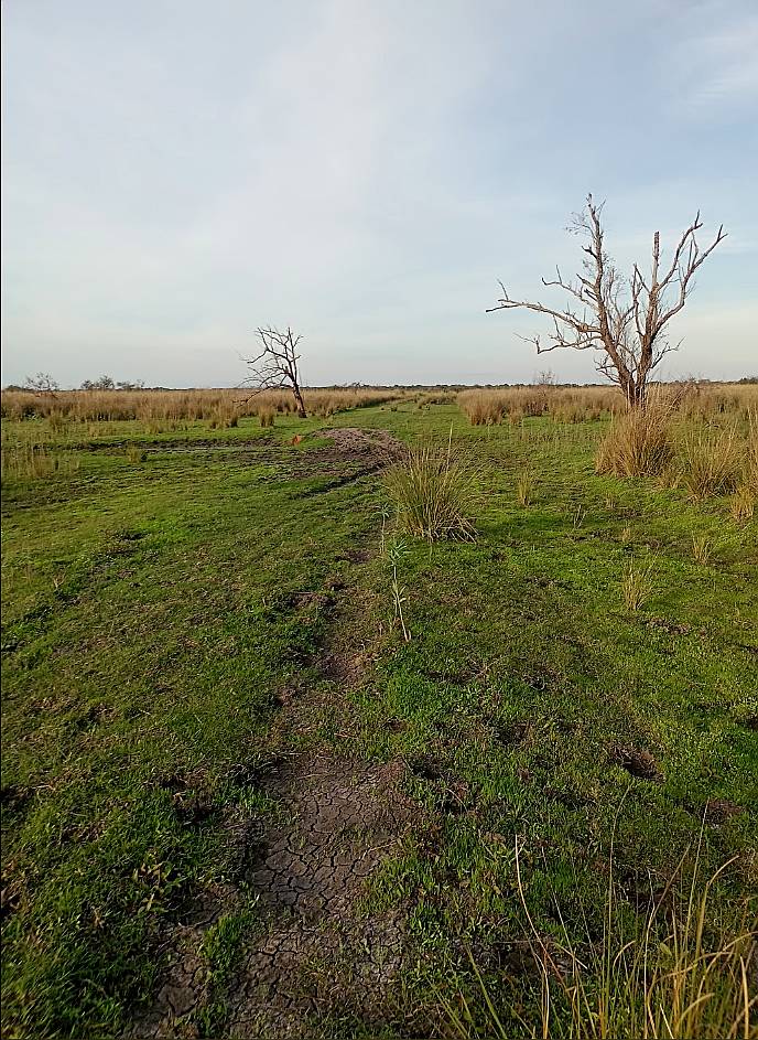 Vendo Campo Ganadero en E.rios