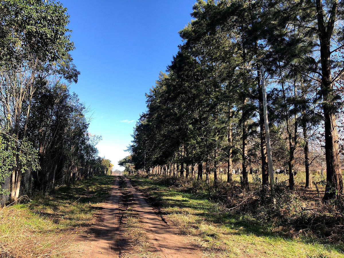 7 Estupendos Terrenos en las Lomadas, los Cardales