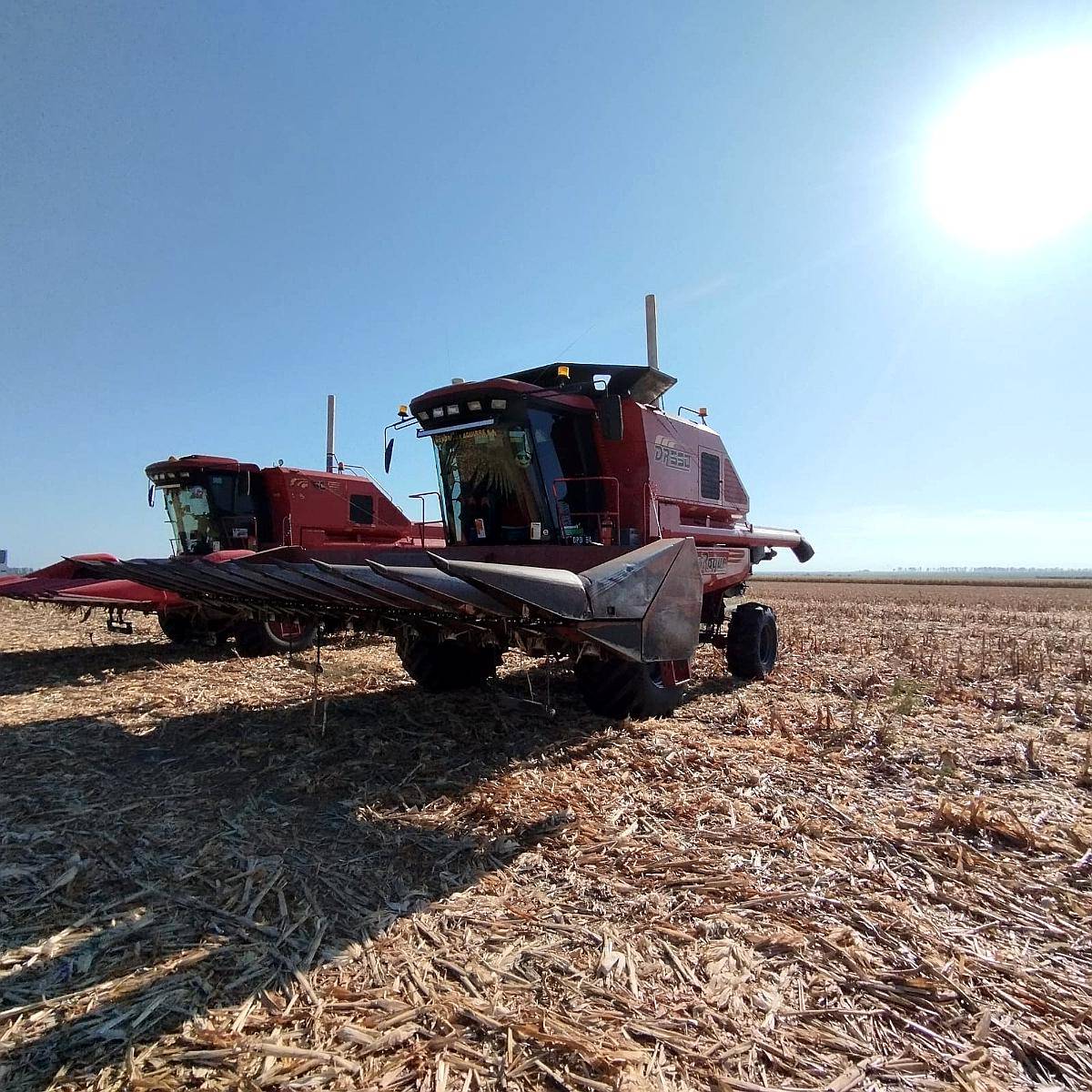 Cosechadora Don Roque DR 550 - año 2018 - Año: 2018 - Agroads