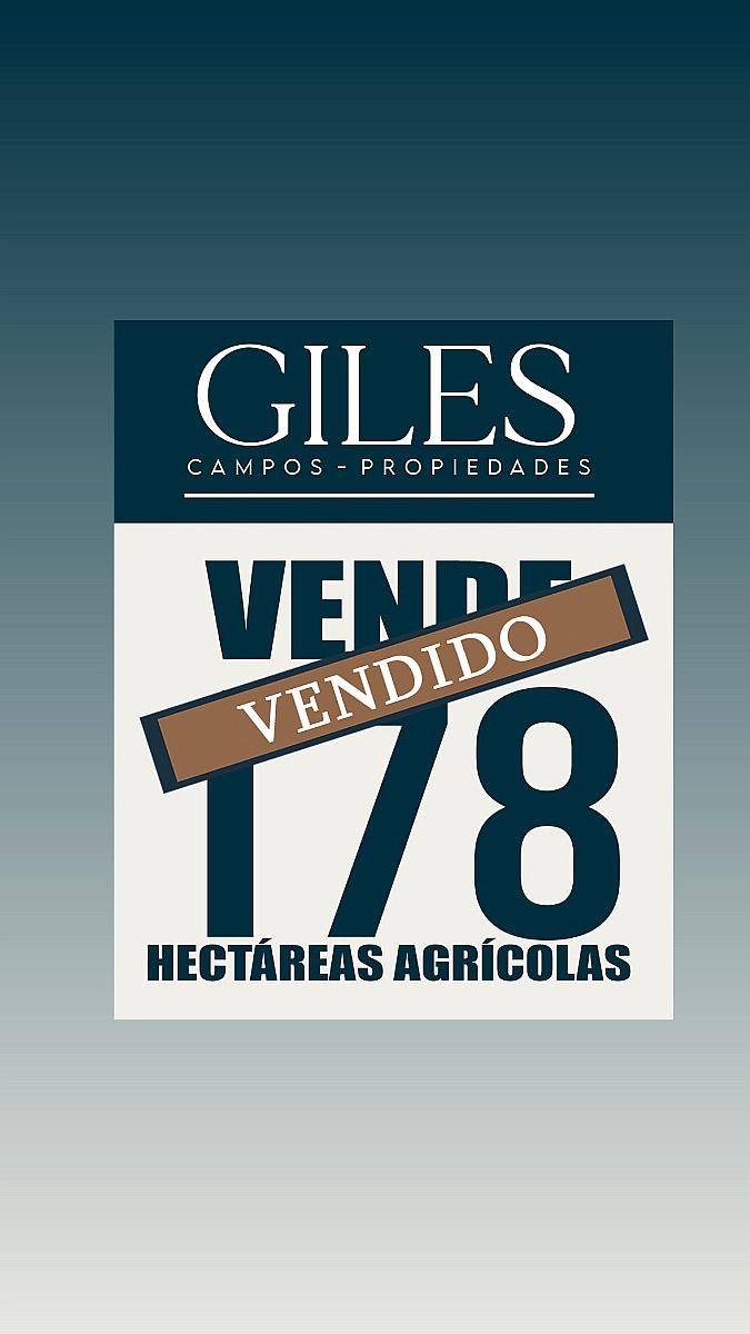 Campo 178 Hectáreas Agrícola