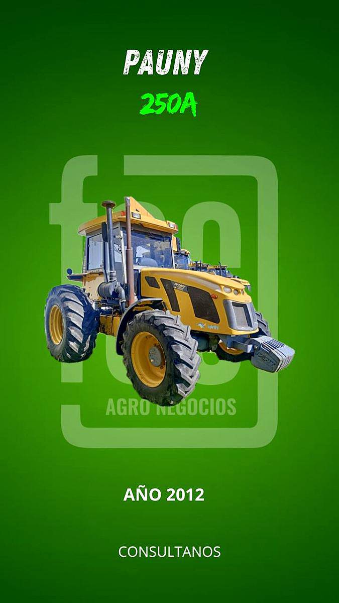 Pauny 250a año 2012