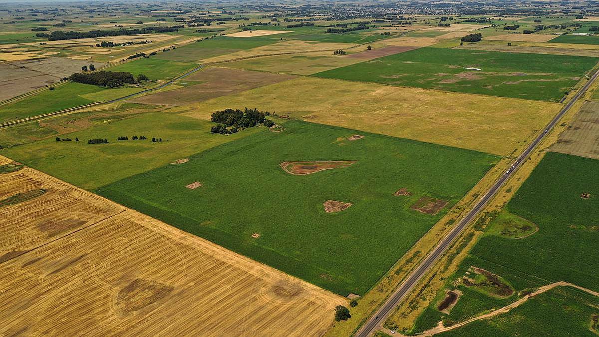 Campo Agrícola 120 HA, Bolivar (bs. As.)