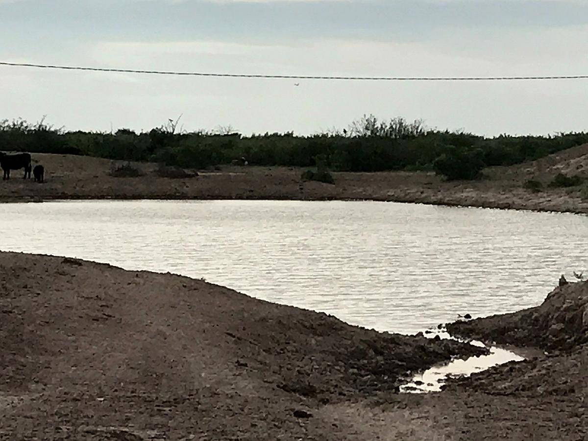 13.400 Ha Costa de Rio, Limay Mahuida, Venta/arriendo