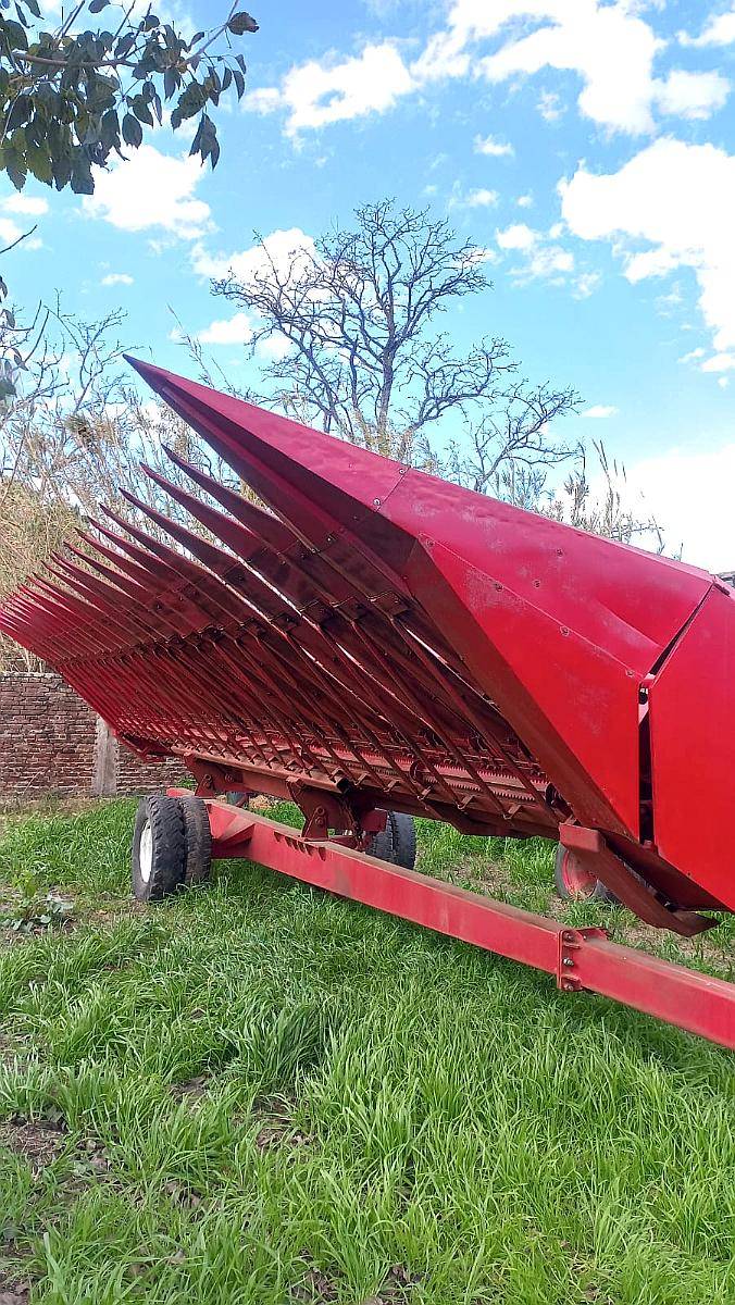 Girasolero Mainero de 16 a 52