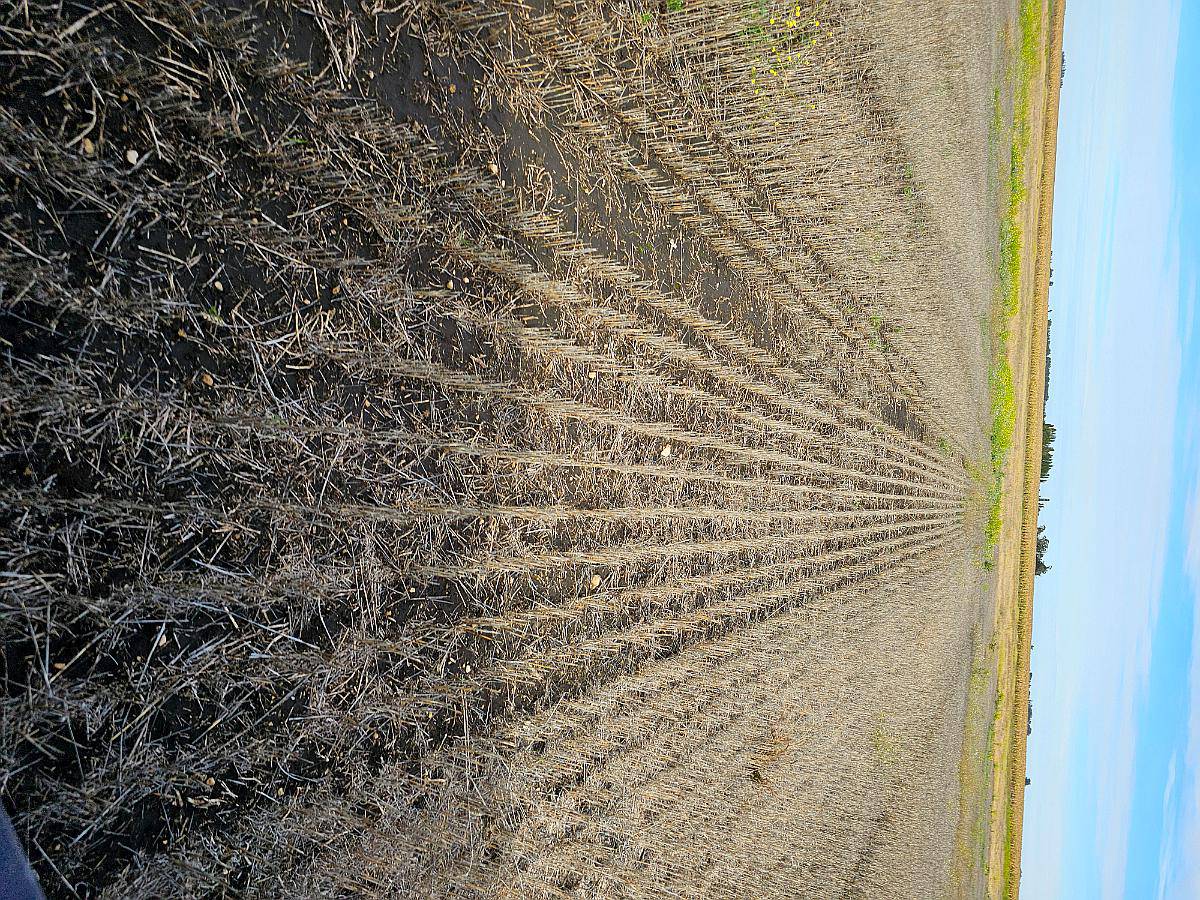 Campo Mixto con Aguadas
