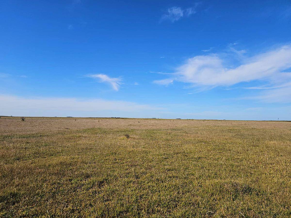 Campo Mixto Venta 90 Ha Saladillo