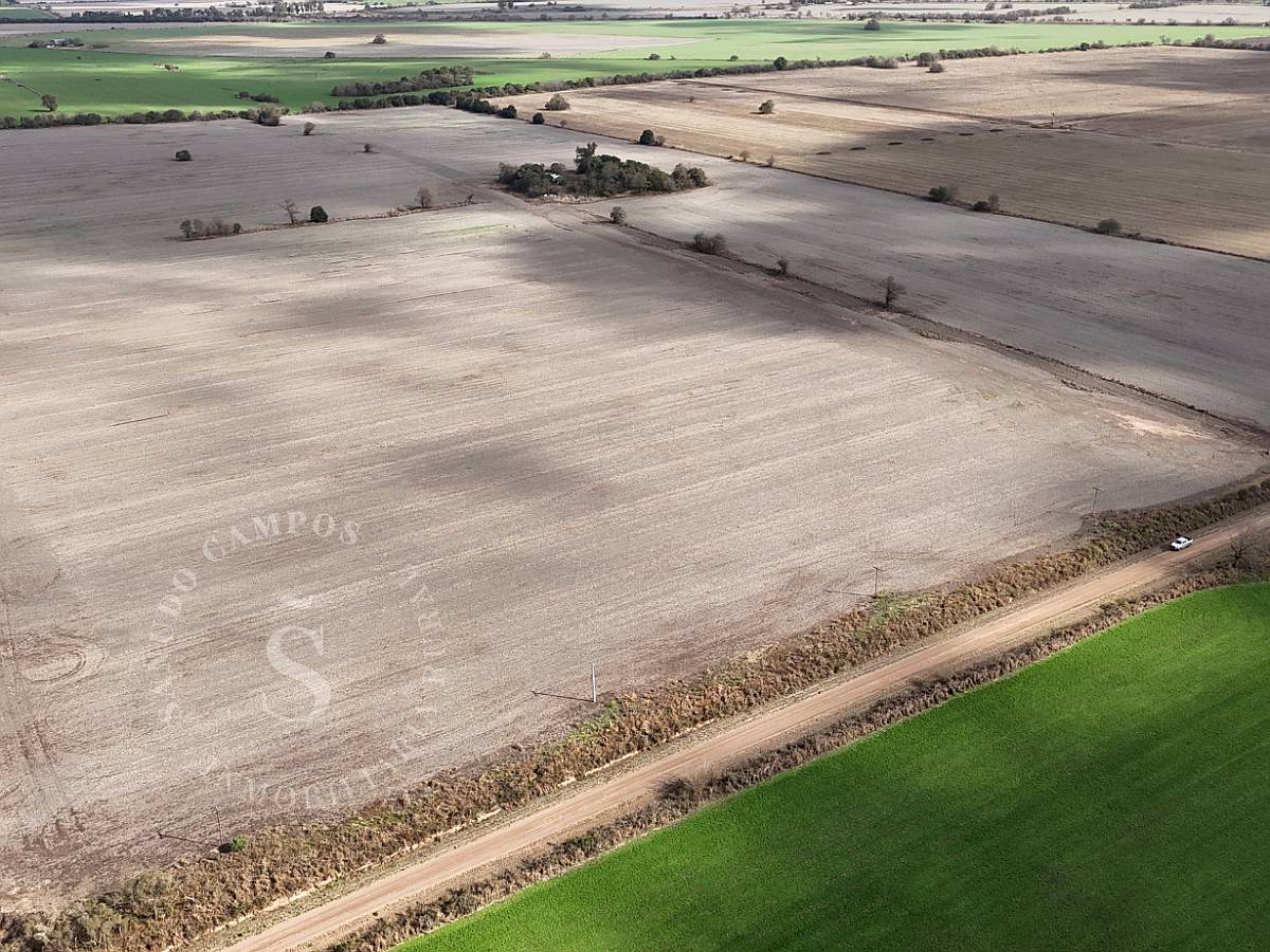 Venta Campo Agrícola. 41 HA. Cululú, Santa FE.