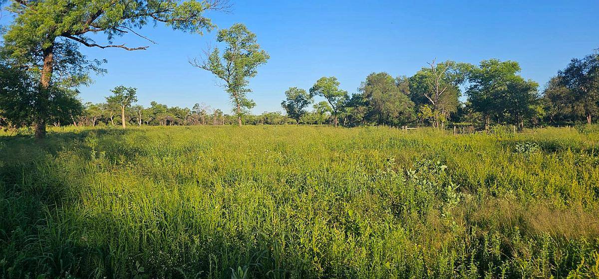 2900ha en Taco Pozo, Chaco