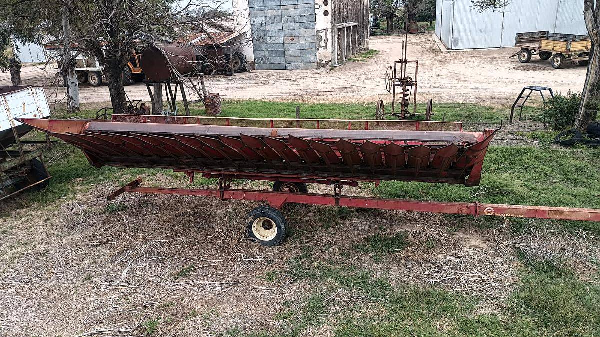 Girasolero Mainero de 10 a 70 CM.