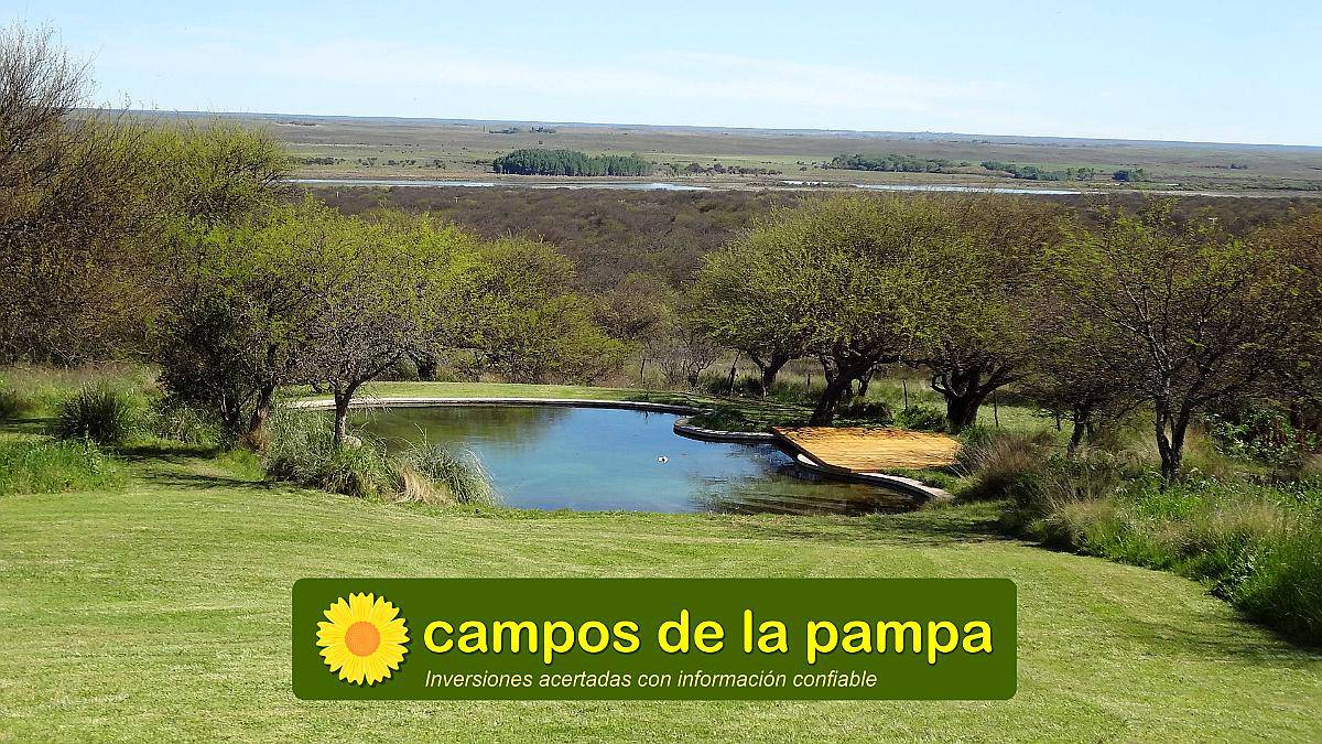 La Pampa - Venta Campos de Pastizal