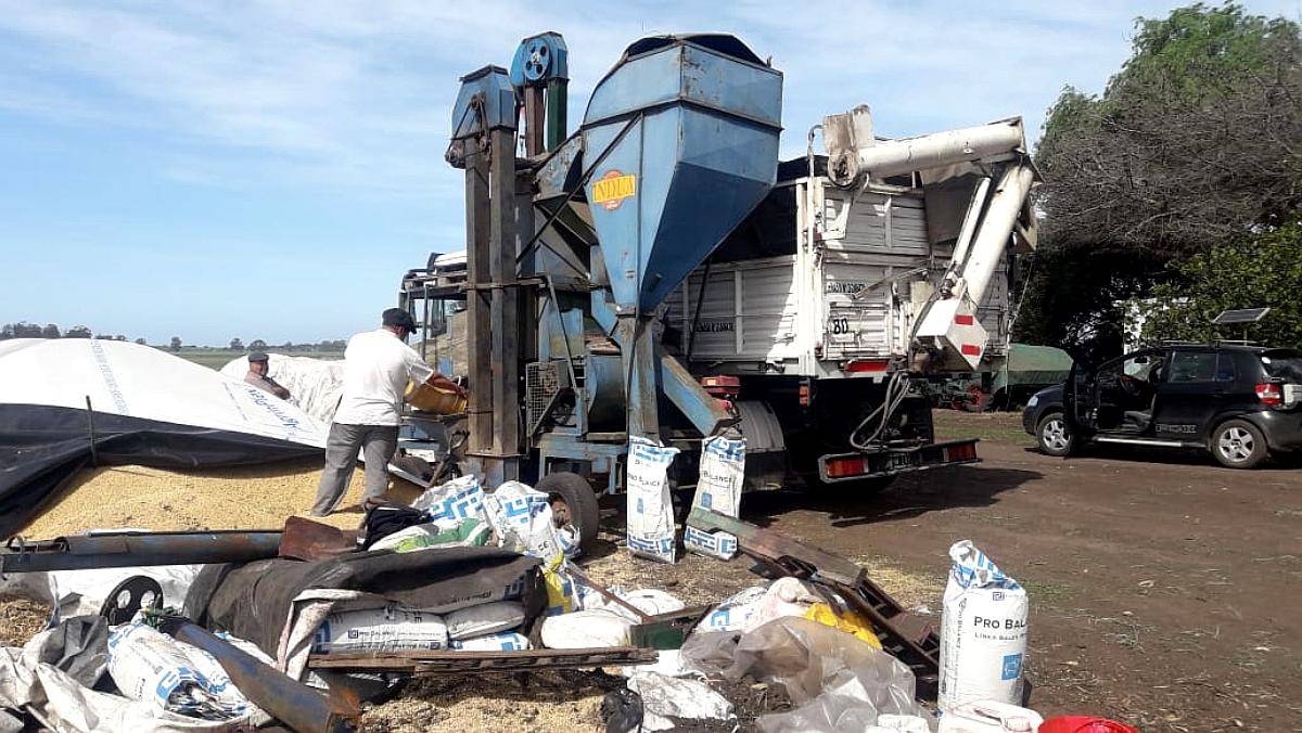 Vendo Máquina Clasificadora Indua 2006 Completa