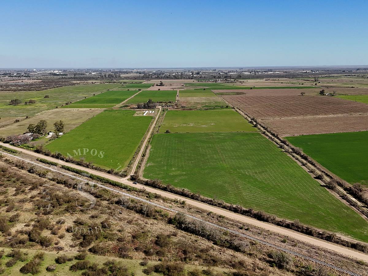 Campo Venta Santo Tomé, Santa FE. Zona Countries. 54 Ha