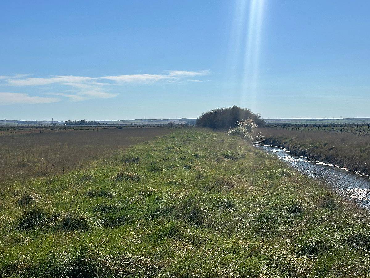 302 Has. Bahia Blanca con Arroyo