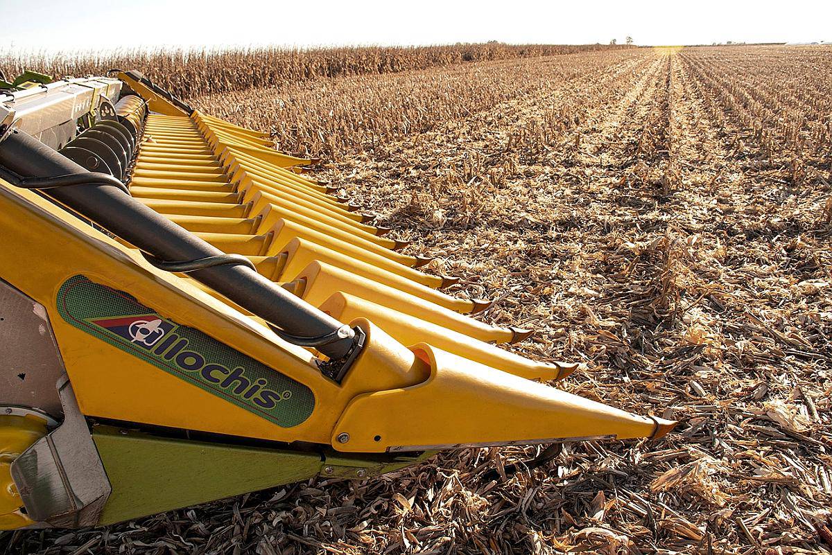 Maicero Allochis Cotiza el Tuyo