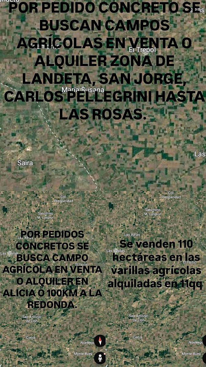 Se Buscan Campo Agrícolas en Venta o Alquiler