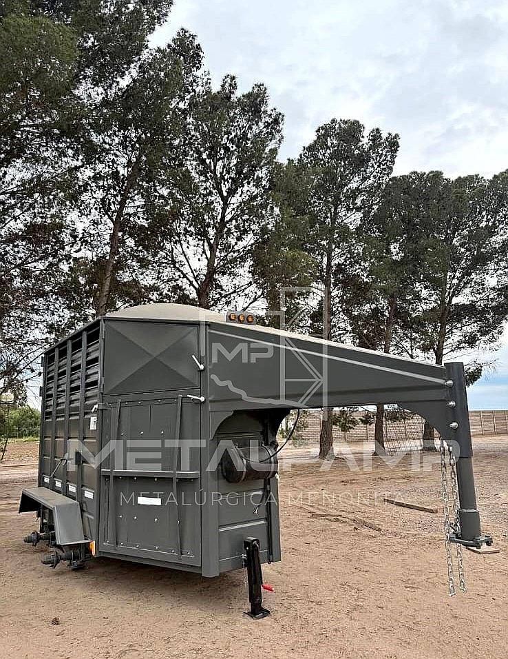 Carro para Dos Caballos