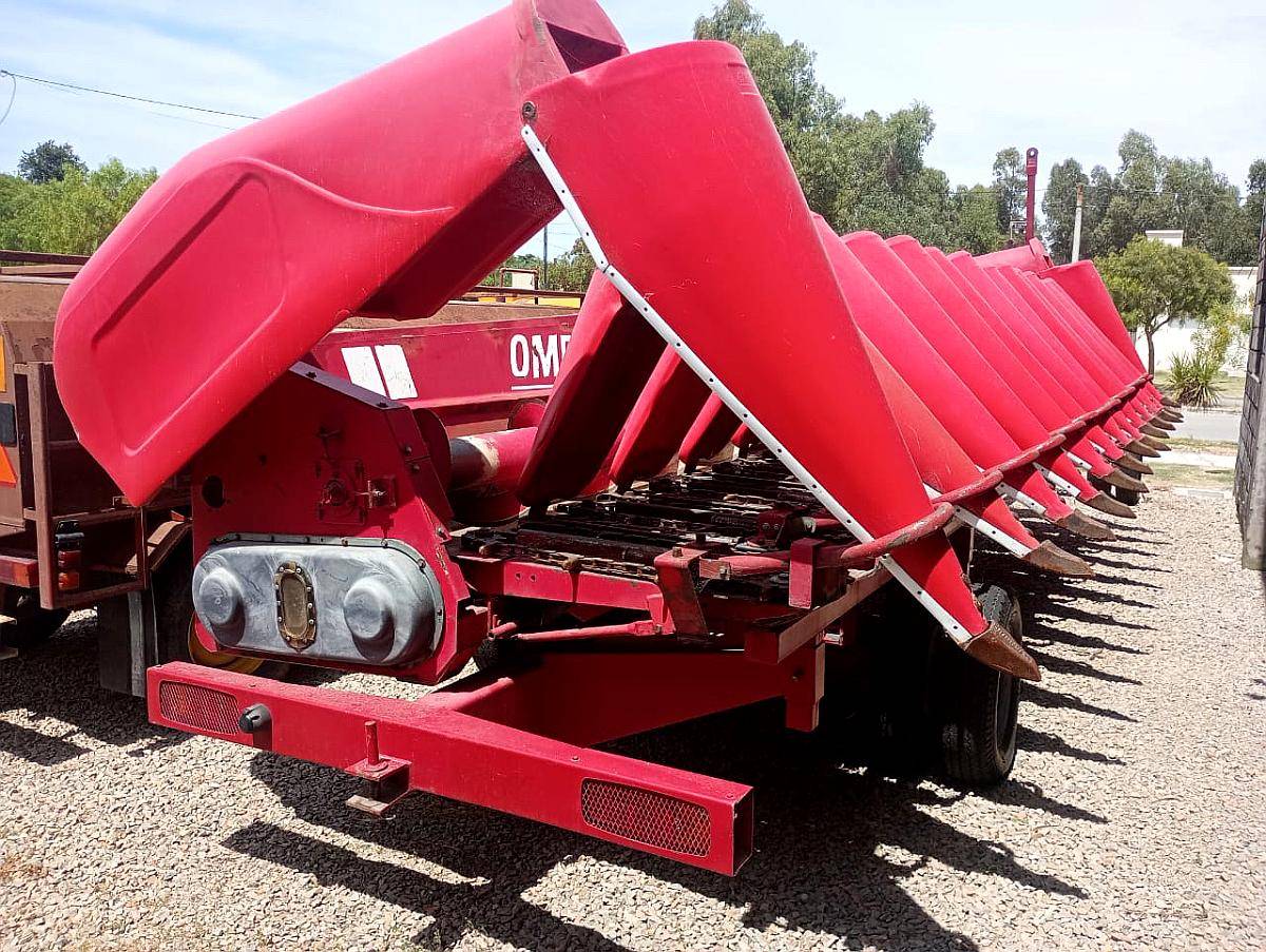 Maicero Ombu 13 a 52 año 2018