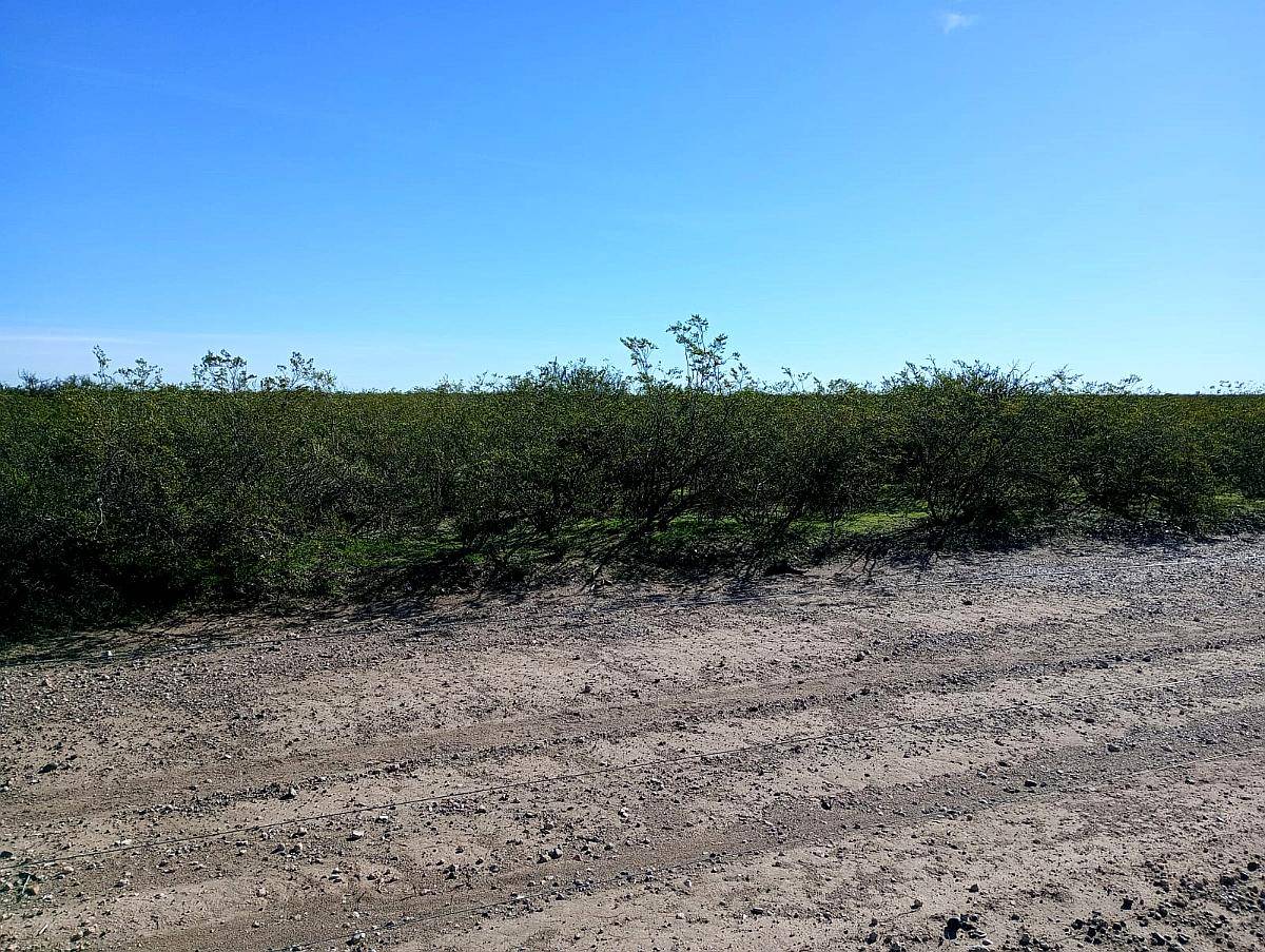 En Venta 32.500 HA. Casa de Piedra, la Pampa