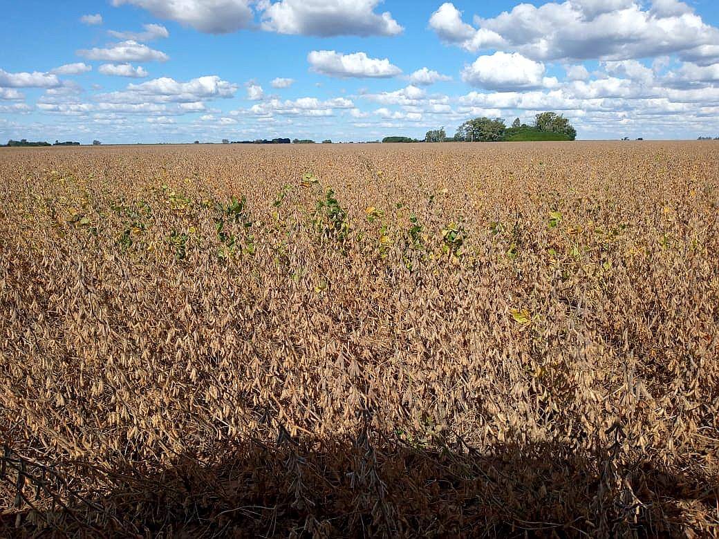 927 en Villa Mineti Santa FE