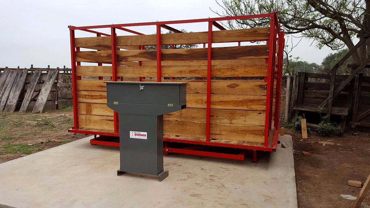 Bascula / Balanza - Hacienda 5.000kg - 10 Animales - Donher