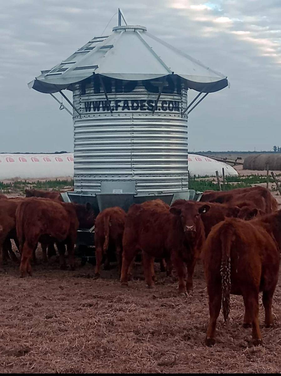 Comedero Autoconsumo para Animales