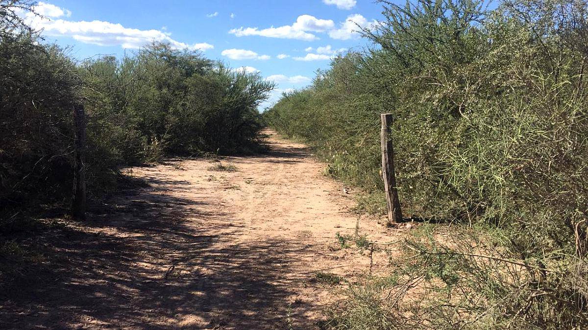 Bandera (sgo. del Estero) -972 Has.- para Desarrollar-