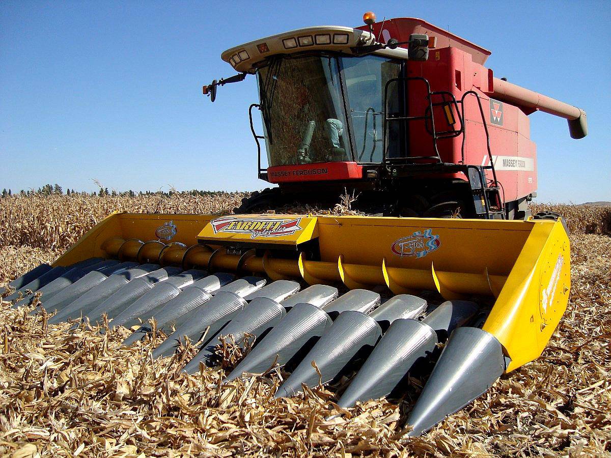 Maicero Tarditi T-5706 a 525